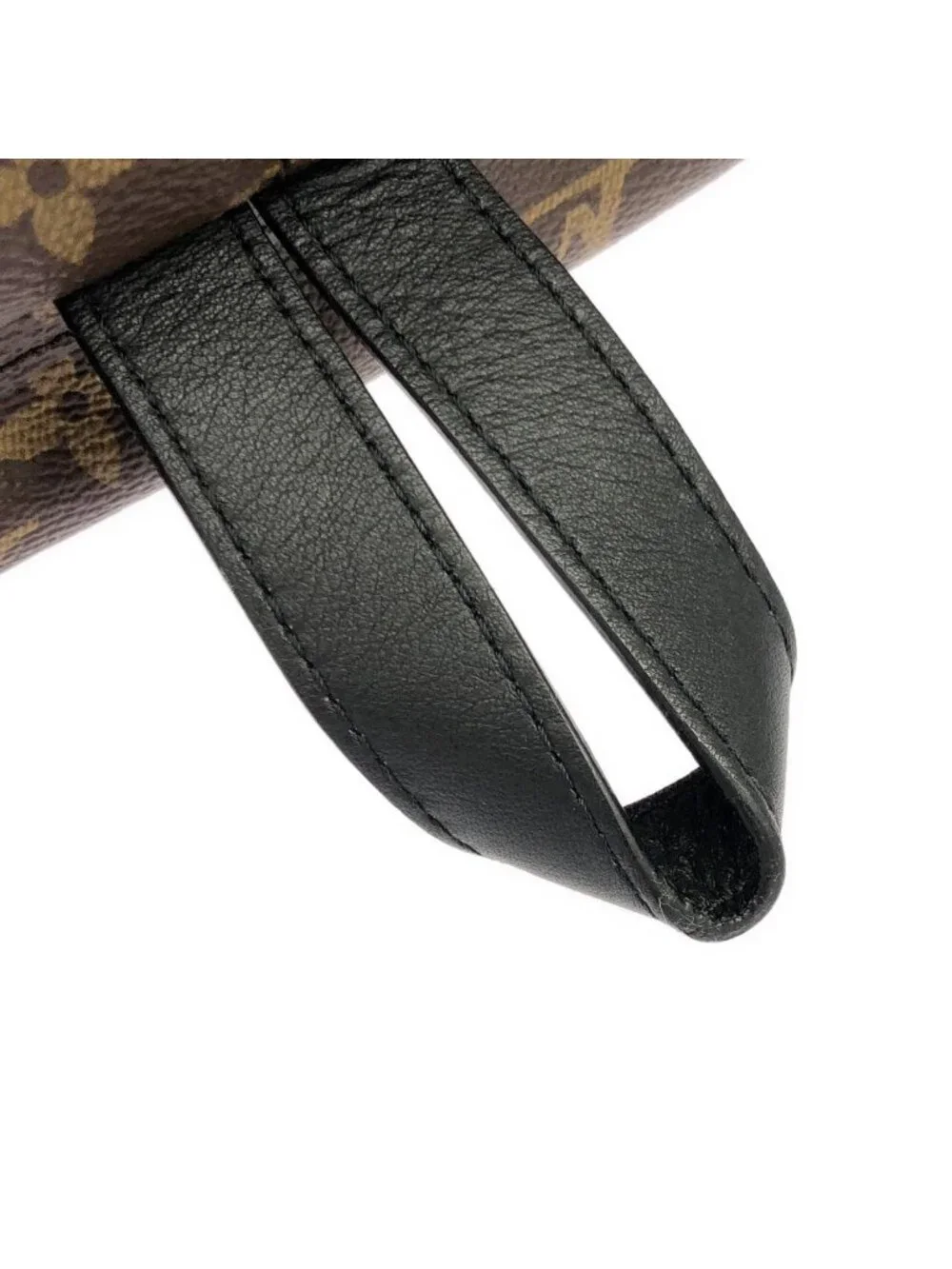 Louis Vuitton Monogram Palm Springs Backpack MM